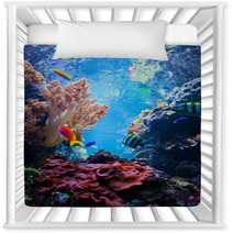 Underwater Scene With Fish, Coral Reef Nursery Decor 55172863