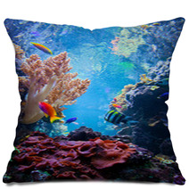 Underwater Scene With Fish, Coral Reef Pillows 55172863
