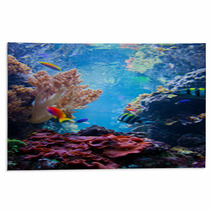 Underwater Scene With Fish, Coral Reef Rugs 55172863