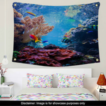 Underwater Scene With Fish, Coral Reef Wall Art 55172863