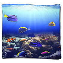 Underwater Scene With Tropical Fish Blankets 71207803
