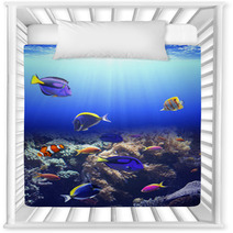 Underwater Scene With Tropical Fish Nursery Decor 71207803