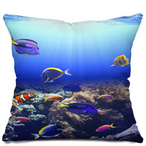 Underwater Scene With Tropical Fish Pillows 71207803