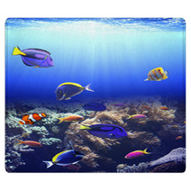 Underwater Scene With Tropical Fish Rugs 71207803