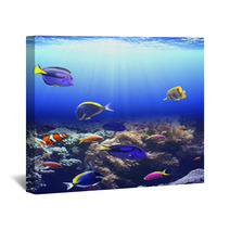 Underwater Scene With Tropical Fish Wall Art 71207803