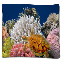Underwater World Blankets 34041890