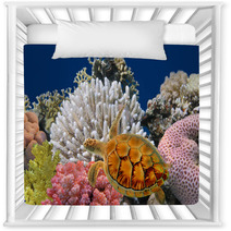 Underwater World Nursery Decor 34041890
