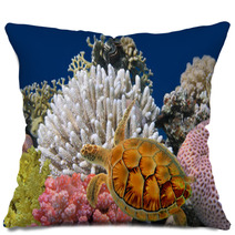 Underwater World Pillows 34041890