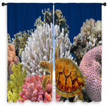 Underwater World Window Curtains 34041890
