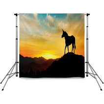 Unicorn At Sunset Backdrops 226798205