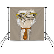Vector Closeup Portrait Of Funny Ostrich Bird Hipster Backdrops 67168564