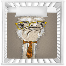 Vector Closeup Portrait Of Funny Ostrich Bird Hipster Nursery Decor 67168564