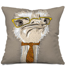 Vector Closeup Portrait Of Funny Ostrich Bird Hipster Pillows 67168564