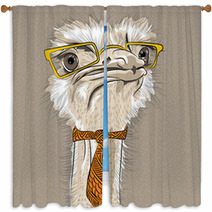 Vector Closeup Portrait Of Funny Ostrich Bird Hipster Window Curtains 67168564