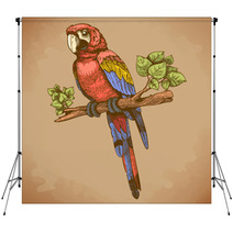 Vector Engraving Big Blue Parrot On A Branch Backdrops 64324530