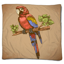 Vector Engraving Big Blue Parrot On A Branch Blankets 64324530