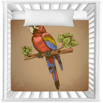 Vector Engraving Big Blue Parrot On A Branch Nursery Decor 64324530
