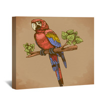 Vector Engraving Big Blue Parrot On A Branch Wall Art 64324530