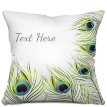 Vector Isolated Peacock Feather Background Pillows 85753420