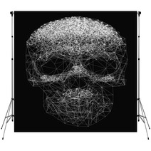 Vector Line Art Skull Illustration Polygonal Network Of Thin Lines On Black Background Backdrops 123574498