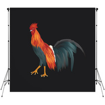 Vector Of Chicken On Black Background Backdrops 81815509