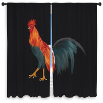 Vector Of Chicken On Black Background Window Curtains 81815509