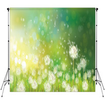 Vector Of Spring Background With White Dandelions. Backdrops 58106384