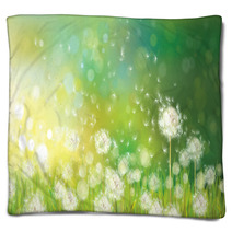 Vector Of Spring Background With White Dandelions. Blankets 58106384