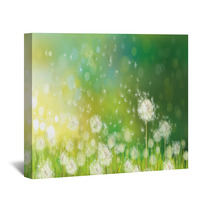 Vector Of Spring Background With White Dandelions. Wall Art 58106384