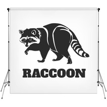 Vector Raccoon Black Illustration Backdrops 87276910