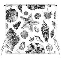 Vector Seamless Vintage Pattern With Black And White Seashells Backdrops 61253351