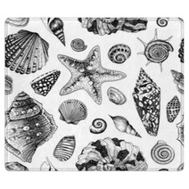 Vector Seamless Vintage Pattern With Black And White Seashells Rugs 61253351