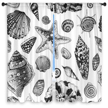 Vector Seamless Vintage Pattern With Black And White Seashells Window Curtains 61253351
