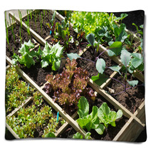 Vegetable Garden Blankets 68076294