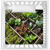 Vegetable Garden Nursery Decor 68076294