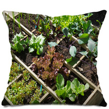 Vegetable Garden Pillows 68076294