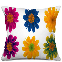 Vektorblumen Pillows 7681072