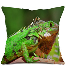 Verde Hoja Pillows 44145756