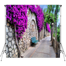 Vibrant Flower Draped Pathway In Capri, Italy Backdrops 50635038