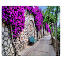 Vibrant Flower Draped Pathway In Capri, Italy Rugs 50635038