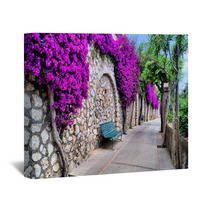 Vibrant Flower Draped Pathway In Capri, Italy Wall Art 50635038