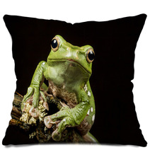 Vietnamese Blue (Gliding Or Flying) Tree Frog (Polypedates Denny Pillows 70812575