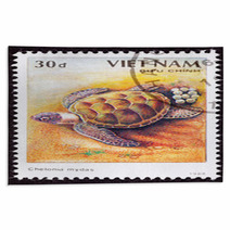 Vietnamese Postage Stamp Egg Laying Green Turtle Chelonia Mydas Rugs 27904795
