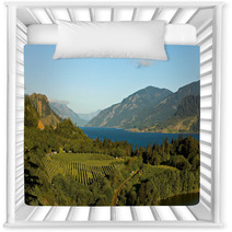 View Over Columbia River,  Columbia River Gorge, Oregon. Nursery Decor 44926496