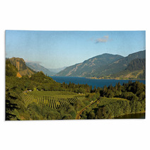 View Over Columbia River,  Columbia River Gorge, Oregon. Rugs 44926496