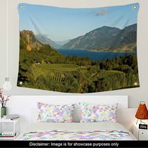 View Over Columbia River,  Columbia River Gorge, Oregon. Wall Art 44926496