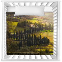 Villa E Viale Alberato, Toscana Nursery Decor 61964968