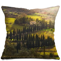 Villa E Viale Alberato, Toscana Pillows 61964968