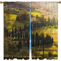 Villa E Viale Alberato, Toscana Window Curtains 61964968