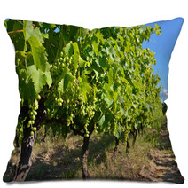 Vineyard Pillows 68844549